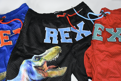 R6 | "What the Rex " BB Shorts (PRE-ORDER)